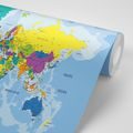 SELF ADHESIVE WALLPAPER COLORED MAP OF THE WORLD - SELF-ADHESIVE WALLPAPERS - WALLPAPERS
