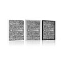 POSTER MANDALA TEXTURE IN BLACK AND WHITE - FENG SHUI - POSTERS