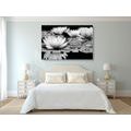 CANVAS PRINT LOTUS FLOWER IN BLACK AND WHITE - BLACK AND WHITE PICTURES - PICTURES