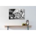 CANVAS PRINT ROMANTIC CONFESSION IN BLACK AND WHITE DESIGN: LOVE - BLACK AND WHITE PICTURES - PICTURES