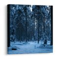 CANVASTAVLA SNÖTÄCKT SKOG I BLÅ SKYMNING - JUL- OCH VINTERTAVLOR - TAVLOR