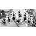 CANVAS PRINT BLACK AND WHITE FLOWERS ON AN ABSTRACT BACKGROUND - BLACK AND WHITE PICTURES - PICTURES