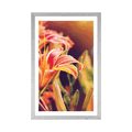 POSTER WITH MOUNT BEAUTIFUL BLOOMING FLOWERS IN THE GARDEN - FLOWERS - POSTERS