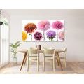 CANVAS PRINT DAHLIA FLOWERS IN A DIVERSE DESIGN - PICTURES FLOWERS - PICTURES