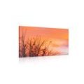 CANVAS PRINT COLORFUL SKY - PICTURES OF NATURE AND LANDSCAPE - PICTURES