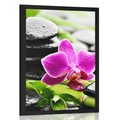 POSTER WELLNESS STILL LIFE WITH A PURPLE ORCHID - FENG SHUI - POSTERS
