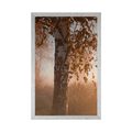 AFFICHE FORÊT D'AUTOMNE BRUMEUX - NATURE - AFFICHES