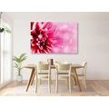 TABLEAU SUR TOILE – FLEUR ROSE - TABLEAUX DE FLEURS - TABLEAUX