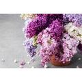 WALL MURAL LILACS IN A FLOWERPOT - WALLPAPERS FLOWERS - WALLPAPERS