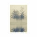 AFFICHE ARBRES DANS LE BROUILLARD - NATURE - AFFICHES