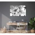 CANVAS PRINT WOMAN'S CHARM IN BLACK AND WHITE - BLACK AND WHITE PICTURES - PICTURES