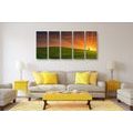 IMPRESSION SUR TOILE EN 5 PARTIES ARBRE SUR LE PRÉ - IMPRESSION SUR TOILE DE NATURE ET PAYSAGE - IMPRESSION SUR TOILE