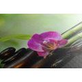 CANVAS PRINT FENG SHUI STILL LIFE - PICTURES FENG SHUI - PICTURES