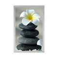 POSTER HARMONISCHE STEINE UND PLUMERIA-BLÜTE - FENG SHUI - POSTER