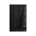 POSTER PATH IN THE FOREST IN BLACK AND WHITE - BLACK AND WHITE - POSTERS