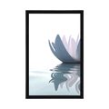 POSTER LOTUS FLOWER IN THE RIVER - FLOWERS - POSTERS