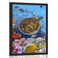 POSTER UNDERWATER WORLD - ANIMALS - POSTERS