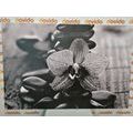 CANVAS PRINT ORCHID AND ZEN STONES IN BLACK AND WHITE - BLACK AND WHITE PICTURES - PICTURES
