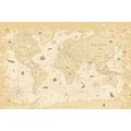 DECORATIVE PINBOARD MAP IN BEIGE DESIGN - PICTURES ON CORK - PICTURES