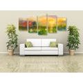 5-PIECE CANVAS PRINT OIL PAINTING OF MEADOW FLOWERS - PICTURES OF NATURE AND LANDSCAPE - PICTURES