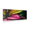 CANVAS PRINT FRESH LEAVES - PICTURES OF NATURE AND LANDSCAPE - PICTURES
