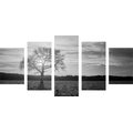 5-PIECE CANVAS PRINT LONELY TREE IN BLACK AND WHITE - BLACK AND WHITE PICTURES - PICTURES