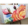 WANDBILD ROSEN IN ROSA - BILDER BLUMEN - BILDER