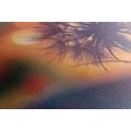 CANVAS PRINT BRIGHT DANDELION - PICTURES FLOWERS - PICTURES