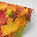 PAPIER PEINT AUTOCOLLANT FEUILLES D'AUTOMNE - PAPIERS PEINTS AUTOCOLLANTS - PAPIER PEINT