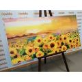 WANDBILD SONNENBLUMENFELD - BILDER BLUMEN - BILDER