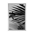 POSTER SEASHELLS UNDER PALM LEAVES IN BLACK AND WHITE - BLACK AND WHITE - POSTERS