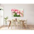CANVAS PRINT SPRING TULIPS - PICTURES FLOWERS - PICTURES