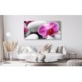 CANVAS PRINT ORCHID FLOWERS ON WHITE STONES - PICTURES FENG SHUI - PICTURES