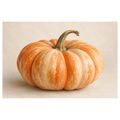 QUADRO SU TELA – ZUCCA ARANCIONE CREMA IN PRIMO PIANO - QUADRI HALLOWEEN E HORROR - STAMPE E QUADRI