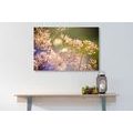 CANVAS PRINT FLORAL STILL LIFE - PICTURES OF NATURE AND LANDSCAPE - PICTURES