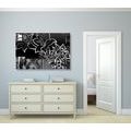 CANVAS PRINT FLORAL ILLUSTRATION IN BLACK AND WHITE - BLACK AND WHITE PICTURES - PICTURES
