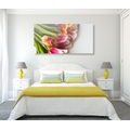 WANDBILD BLUMENSTRAUSS AUS BUNTEN TULPEN - BILDER BLUMEN - BILDER