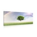 CANVAS PRINT LONELY TREE ON THE MEADOW - PICTURES OF NATURE AND LANDSCAPE - PICTURES