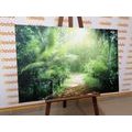 CANVAS PRINT PATH ON THE ISLAND OF SEYCHELLES - PICTURES OF NATURE AND LANDSCAPE - PICTURES