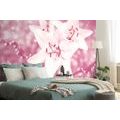 WALL MURAL LILY ON A PINK BACKGROUND - WALLPAPERS FLOWERS - WALLPAPERS