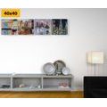 CANVAS PRINT SET CITIES WITH OIL PAINTING IMITATION - SET OF PICTURES - PICTURES