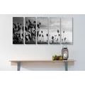 5-PIECE CANVAS PRINT GRASS BLADES IN A FIELD IN BLACK AND WHITE - BLACK AND WHITE PICTURES - PICTURES