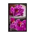 POSTER WUNDERSCHÖNE ORCHIDEE UND ZEN-STEINE - FENG SHUI - POSTER