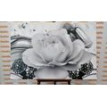 CANVAS PRINT LUXURY ROSE WITH AN ABSTRACTION IN BLACK AND WHITE - BLACK AND WHITE PICTURES - PICTURES