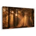 TABLEAU SUR TOILE – RAYONS DORÉS DANS LA FORÊT - TABLEAUX FORÊT - TABLEAUX