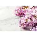 WANDBILD SCHÖNE BLUMEN AUF MARMOR-HINTERGRUND - BILDER BLUMEN - BILDER