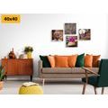 CANVAS PRINT SET FENG SHUI IN A NATURAL DESIGN - SET OF PICTURES - PICTURES