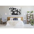 CANVAS PRINT SPRING TULIPS IN BLACK AND WHITE - BLACK AND WHITE PICTURES - PICTURES