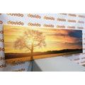 CANVAS PRINT LONELY TREE - PICTURES OF NATURE AND LANDSCAPE - PICTURES