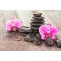 SELF ADHESIVE WALL MURAL ORCHID AND ZEN STONES ON WOOD - SELF-ADHESIVE WALLPAPERS - WALLPAPERS